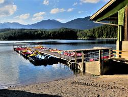 Pedal Boat rental on the lake