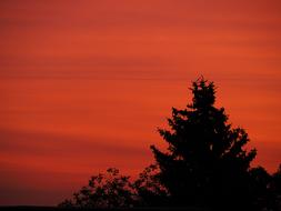 Silhouettes of the trees, at beautiful, red sunrise among the clouds