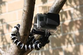 video camera on a tree close up