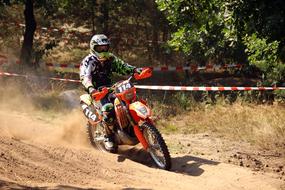 motocross in the dust among the trees on a sunny day