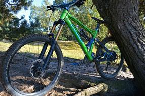 sports bike stands near a tree