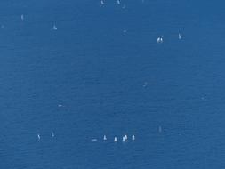 sailing Boats on Lake