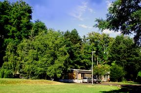 Beautiful landscape of the park with building and colorful plants, with shadows, in sunlight