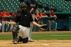 Baseball catcher on the field, near the people