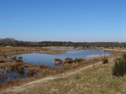 Natural Water Plas