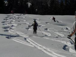 Skiing Skiers Departure Deep