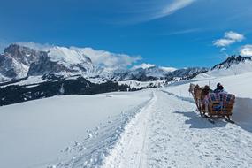 Snow Coach Carriage