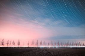 pink blue sky above the trees