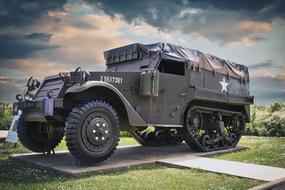 Military vehicle among the plants