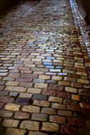 wet paving stones in the alley