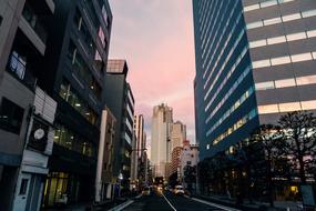 Tokyo City Evening