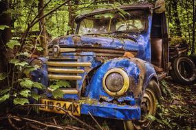 rusty blue truck in the forest