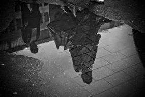 grey Rain Puddle