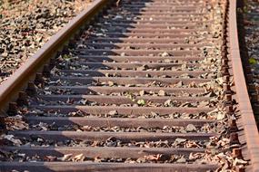 Close-up of the old, rusty rails, in the colorful leaves, in sunlight