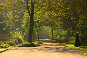 Lane Tree Park