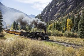 Vintage Steam Locomotive on Narrow railway