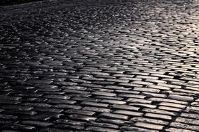 old Cobblestone Road, black and white