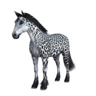 fantasy horse drawing