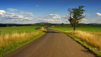 Landscape Nature nice