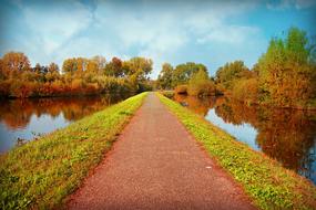 the road in the countryside and the reflection of autumn trees in the ditches