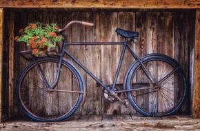 Bike Two Wheeled and flowers