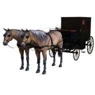 isolated horse carriage