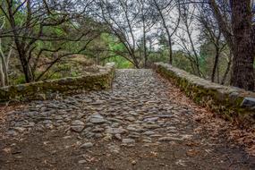 Cobbled Road Stone