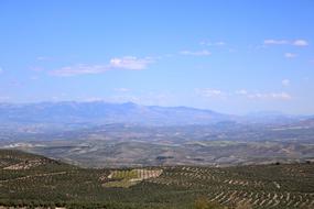 The valley of the Guadalquivir is the most fertile area in Andalucia