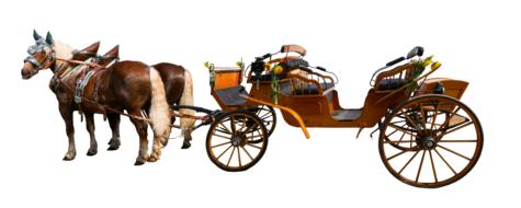 horses with wooden carriage on white background