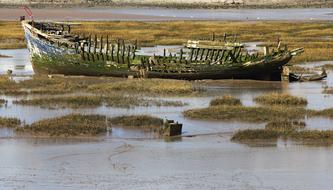 Boat Wreck
