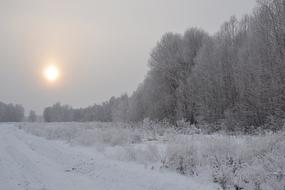 Beautiful, snowy landscape of the road, among the trees and other plants, at colorful Sunrise in the sky