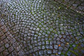 Cobblestones Paving