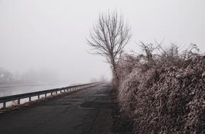 Foggy winter Morning on waterside