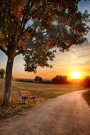 bench on roadside at rural landscape