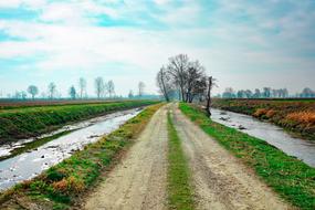 canals along a country road in Lombardy, Italy