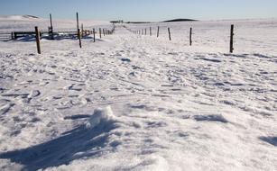 snowy road in Aubrac