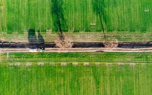 Drone Aerial View of the pathway in a meadow