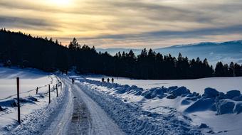 Walkers on Snowy Path