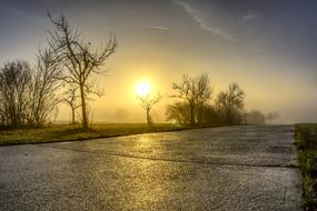 Beautiful, foggy landscape with the road, trees and fields, at colorful sunrise in