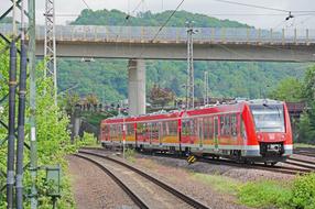 Regional Train on Railway at summer