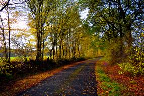 Landscape Autumn Mood fall