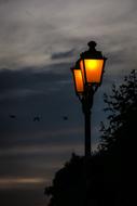 wonderful Lamp Lighting
