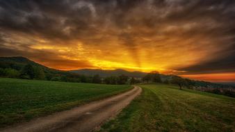 romantic panoramic view of the field at sunset