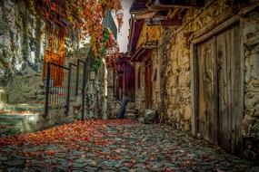 Street Architecture Traditional in the village in autumn