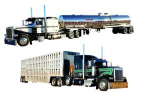 image of trucks on a white background