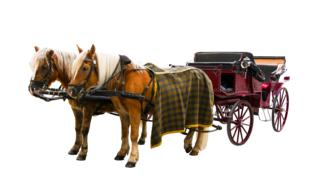 Horses with carriages