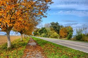 Autumn leaves in Hagenbach