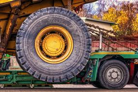 Close-up of the colorful low-bed trailer, with the wheel, near the colorful plants
