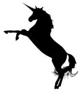 unicorn fantasy animal drawing