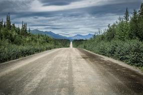 gravel road in a national park in Alaska